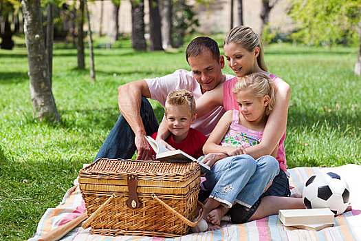 微笑,家庭,读,野餐