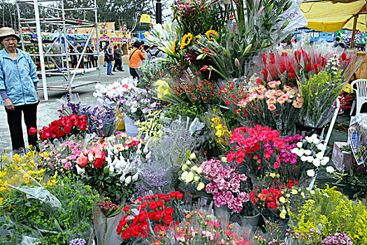 春节,花市,铜锣湾,香港