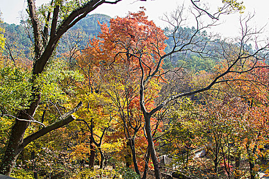 苏州天平山