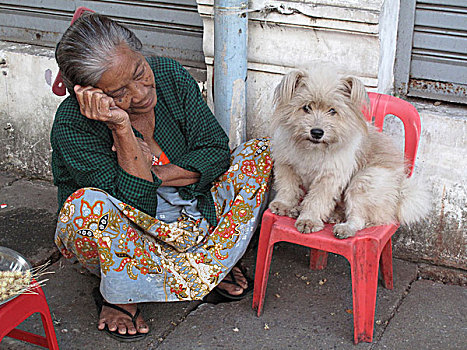 缅甸,仰光,老太太,蹲,地上,看,白色,狗,坐,红色,塑料制品,座椅