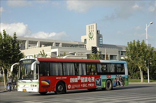 中心,浦东,高科技,公园,公共汽车
