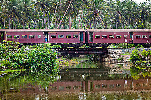 客运列车,穿过,桥,斯里兰卡