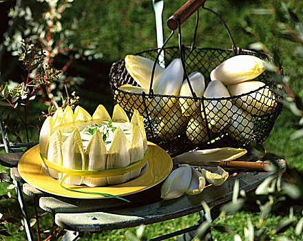 菊苣,蛋糕,花园椅,户外