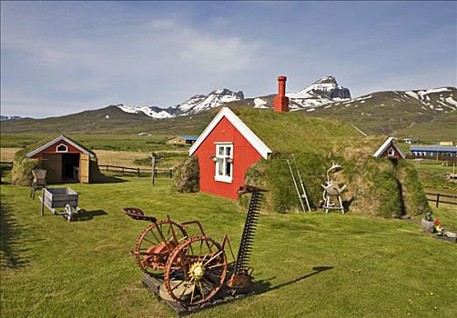 老,设备,花园,正面,房子,冰岛,大西洋