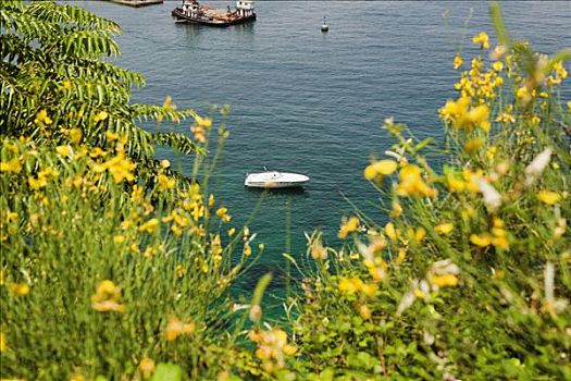 俯拍,船,索伦托半岛,那不勒斯,那不勒斯省,坎帕尼亚区,意大利