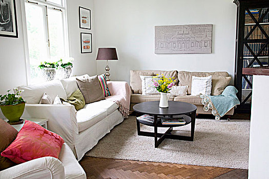 圆,暗色,木头,茶几,苍白,地毯,沙发,客厅