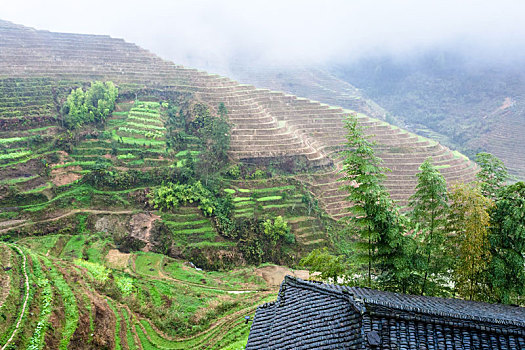 风景,乡村,梯田