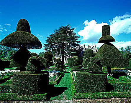 绿雕塑,花园