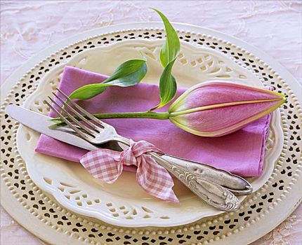 粉色,餐巾,百合,芽,白色背景,盘子