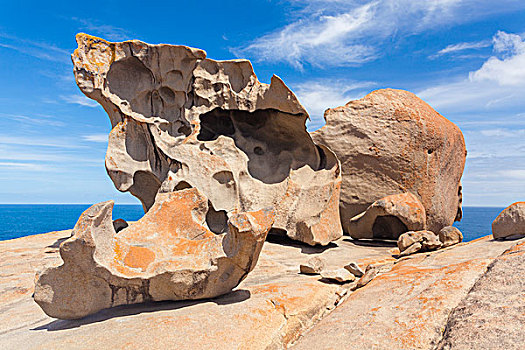 石头,袋鼠,岛屿,南澳大利亚州