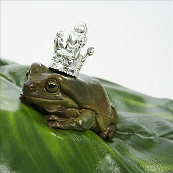 青蛙,王子,皇冠