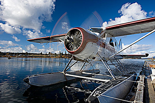 海狸,水上飞机,坎贝尔河,温哥华岛,不列颠哥伦比亚省,加拿大
