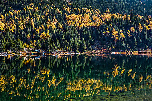 落叶松,湖在秋天,岩石,岛,步道,阳光牧场,省立公园,英属哥伦比亚大学,加拿大