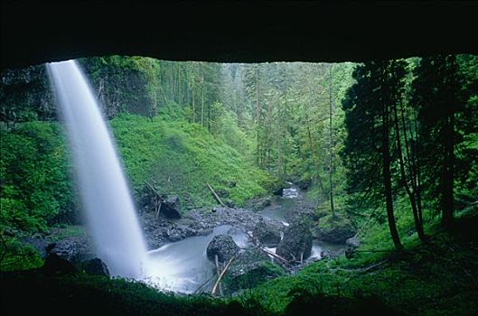 北方,瀑布,银色瀑布州立公园,俄勒冈,美国