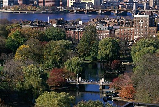俯拍,桥,波士顿公共公园,波士顿,马萨诸塞,美国