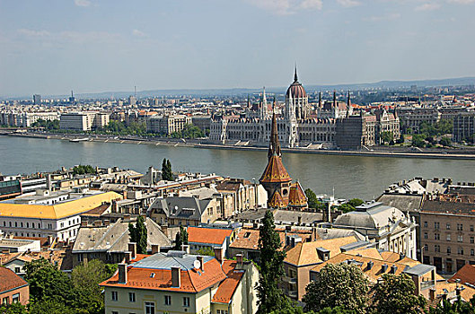 欧洲,匈牙利,布达佩斯,国会大厦,害虫,多瑙河