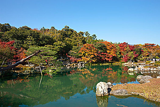 水塘,日式庭园,庙宇,京都,日本