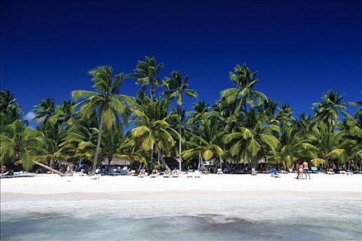 棕榈海滩,绍纳岛,多米尼加共和国,加勒比海