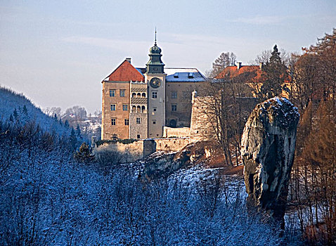 城堡,国家公园,波兰,冬天