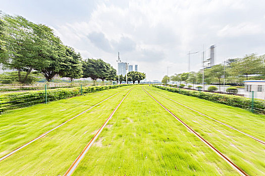 铁路,树,格陵兰