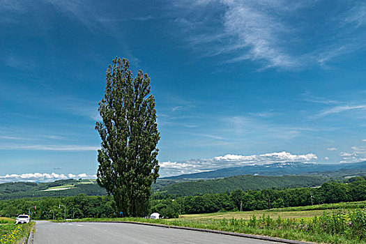 日本北海道美瑛