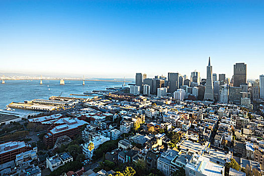 城市,天际线,旧金山,日出