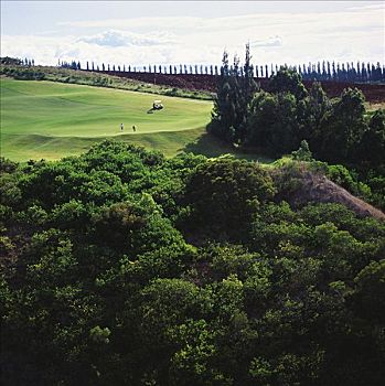 夏威夷,毛伊岛,胜地,高尔夫球场,蓝色,场地,打高尔夫,高尔夫车,远景