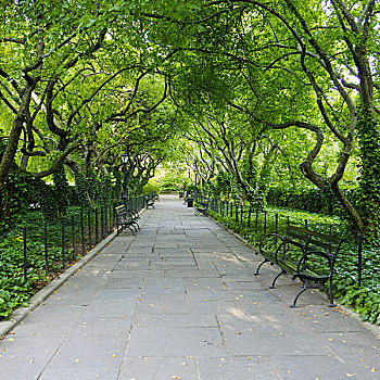 中央公园,纽约,美国