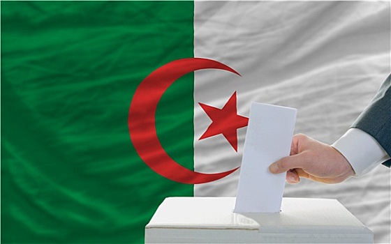 男人,投票,选举,阿尔及利亚
