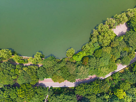 湖北,黄冈,遗爱,夏日,航拍,风光