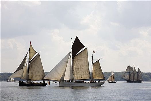 传统,帆船,朗姆酒,赛舟会,2008年,峡湾,弗伦斯堡,石荷州,德国,欧洲
