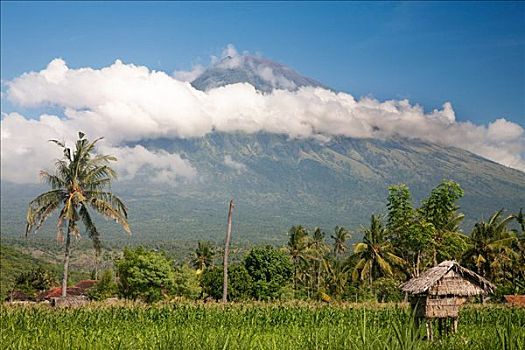 火山,巴厘岛