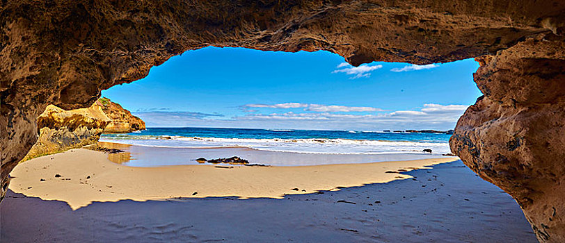 洞穴,沿岸,海滩,风景,海洋,道路,坎贝尔港国家公园,维多利亚,澳大利亚,大洋洲