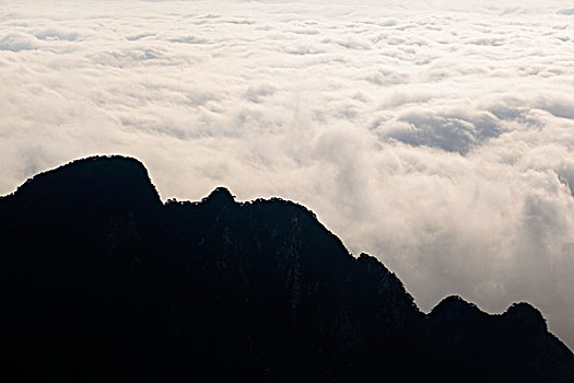 山,云海,雾