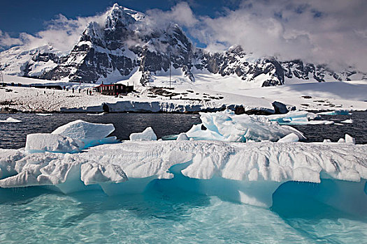 冰山,正面,港口,博物馆,南极半岛,南极
