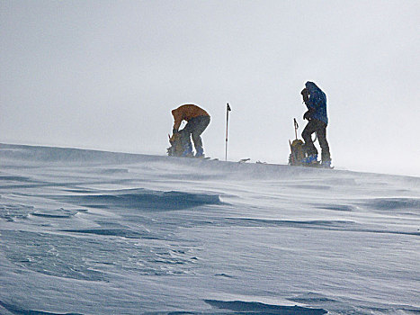 滑雪,旅游,上方,阿尔卑斯山,提洛尔,奥地利