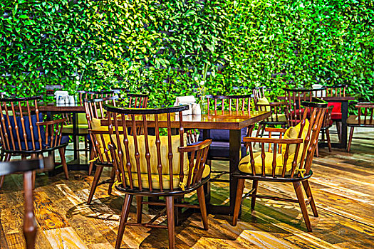 绿植背景墙前的餐桌