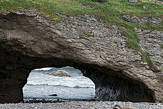 天然拱,海岸,格罗莫讷国家公园,纽芬兰,拉布拉多犬,加拿大