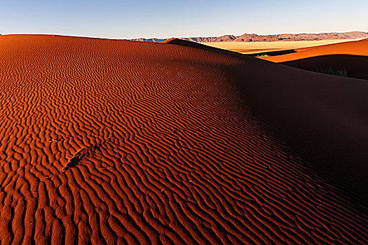 沙丘,晚上,亮光,山,背影,纳米布沙漠,纳米比亚,非洲
