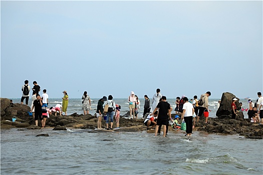 山东省日照市,游客徜徉花海漫步大海,感受蓝天碧海的魅力