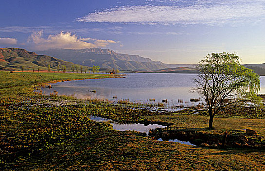 德拉肯斯堡,场景,湖,桑尼,山谷,住宿,冰山之下,南非