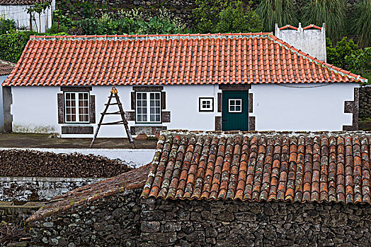 葡萄牙,亚速尔群岛,岛屿,传统,房子
