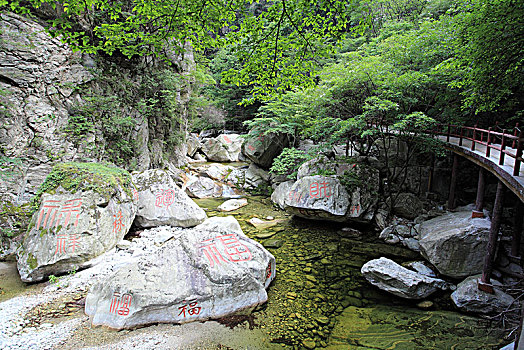 秦岭太平森林公园