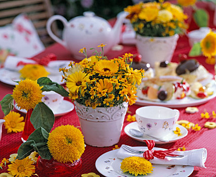 夏天,桌饰,金盏花,万寿菊,向日葵属