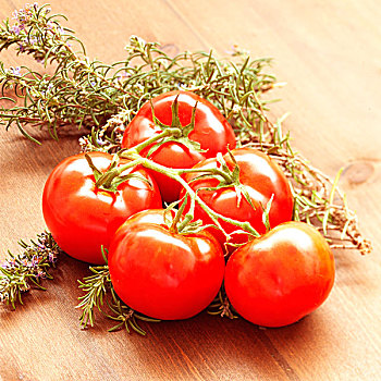 西红柿茎,迷迭香