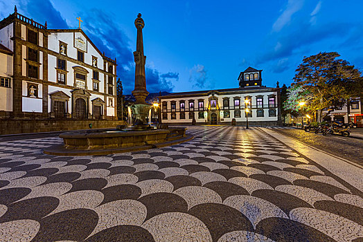 教堂,城市,市政厅,丰沙尔,马德拉岛,葡萄牙,欧洲