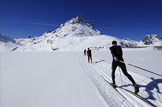 越野滑雪者,提洛尔,奥地利,欧洲