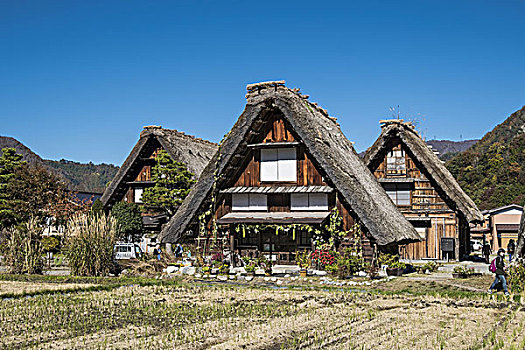 房子,白川乡,岐阜,日本