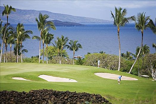夏威夷,毛伊岛,黄金,高尔夫球场,伴侣,草地,远景