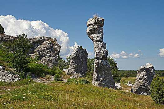 石灰石,柱子,哥特兰岛,岛屿,瑞典,斯堪的纳维亚,欧洲